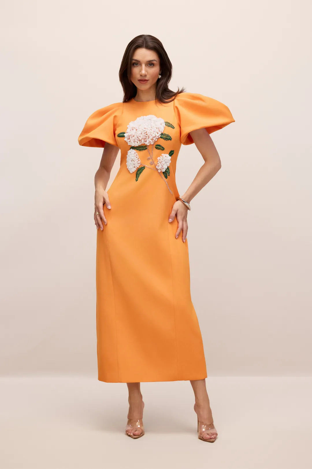 Botanica — Embroidered Floral Puff Sleeve Maxi Dress