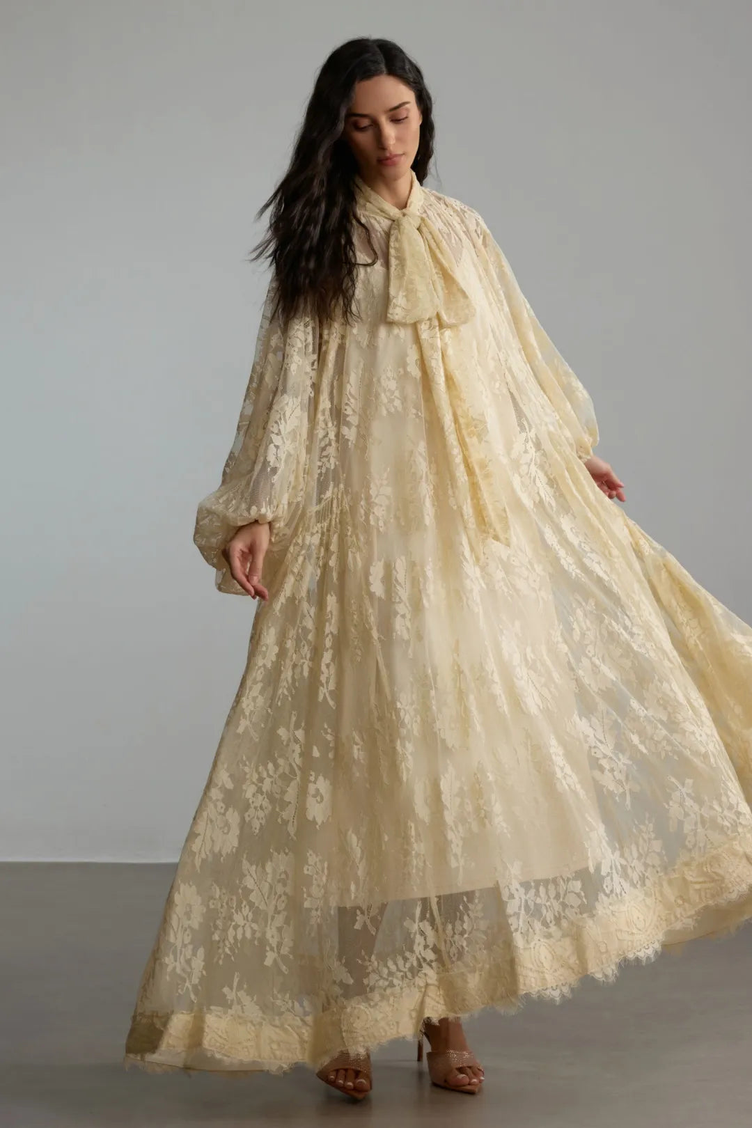 Éclore — Sheer Floral Lace Long-Sleeve Dress