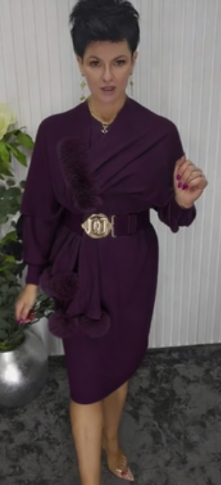 Noréa Plush Accent Long Sleeve Dress