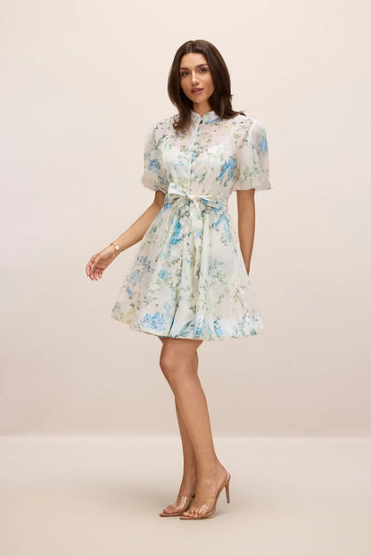 Caroline —  Floral Puff Sleeve Mini Dress