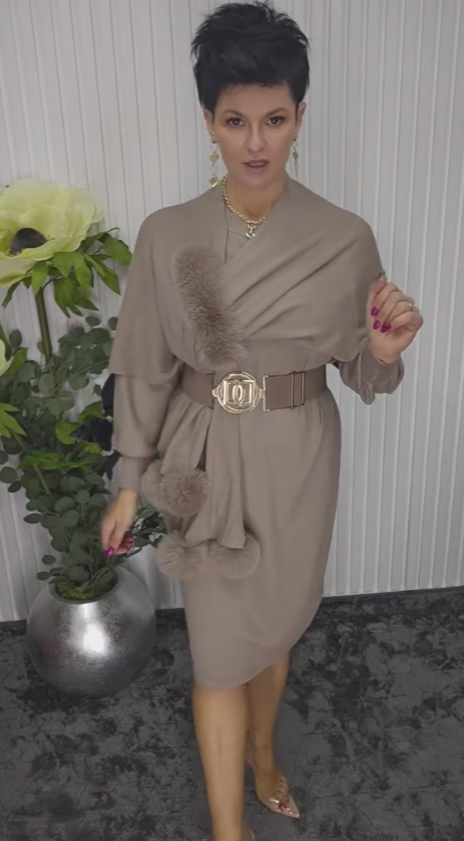 Noréa Plush Accent Long Sleeve Dress